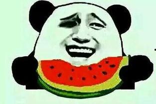 导师吃瓜,揭秘校园里的那些“瓜”事