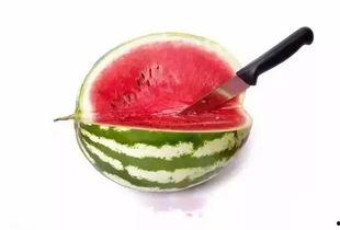 吃啥瓜吃籽儿能减肥,轻松享受美食,健康瘦身两不误