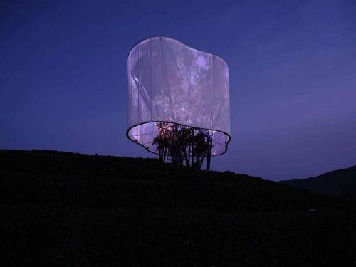 马岩松吃瓜,吃瓜群众的美食探索之旅