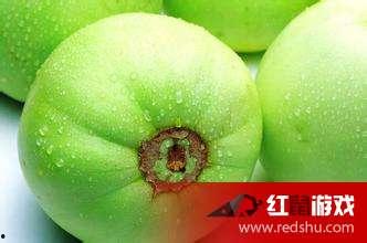 磁县小孩吃瓜事件,安全警示与反思