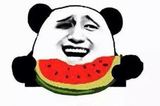 吃瓜群众在哪看