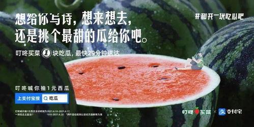 吃太多瓜的文案,揭秘过度“吃瓜”背后的心理奥秘