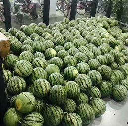 最美校园摄影吃瓜,揭秘最美校园摄影背后的吃瓜故事