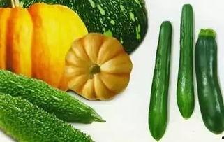 老瓜怎么吃啊,老瓜的多样食用方法揭秘