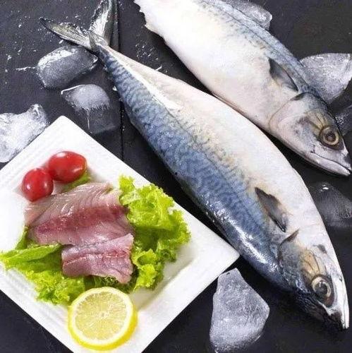 瓜仔鱼怎么吃,解锁美味新境界