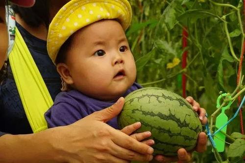 欧洲吃瓜群,揭秘欧洲娱乐圈的幕后故事