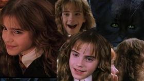 哈利吃大瓜视频,揭秘网红美食背后的故事