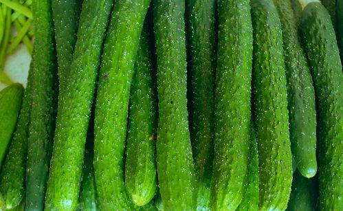 什么瓜能炒菜吃,探索哪些瓜能成为美味炒菜食材