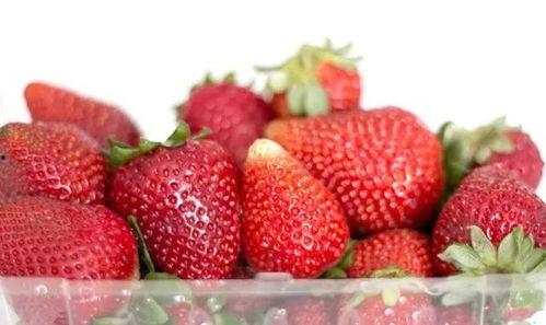 草莓哈哈吃大瓜,草莓哈哈畅享夏日大瓜盛宴