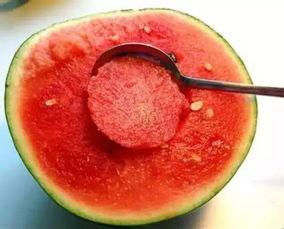 吃瓜最爽的方法